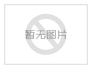 Z44平行式双闸板闸阀